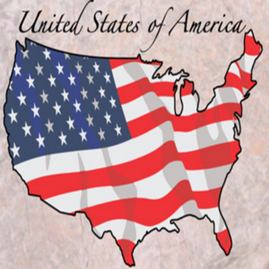 cover image of The United States